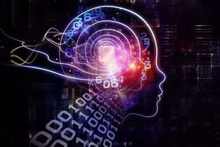 大學專業(yè)同名不同校,畢業(yè)后到手的學歷都可能大不同